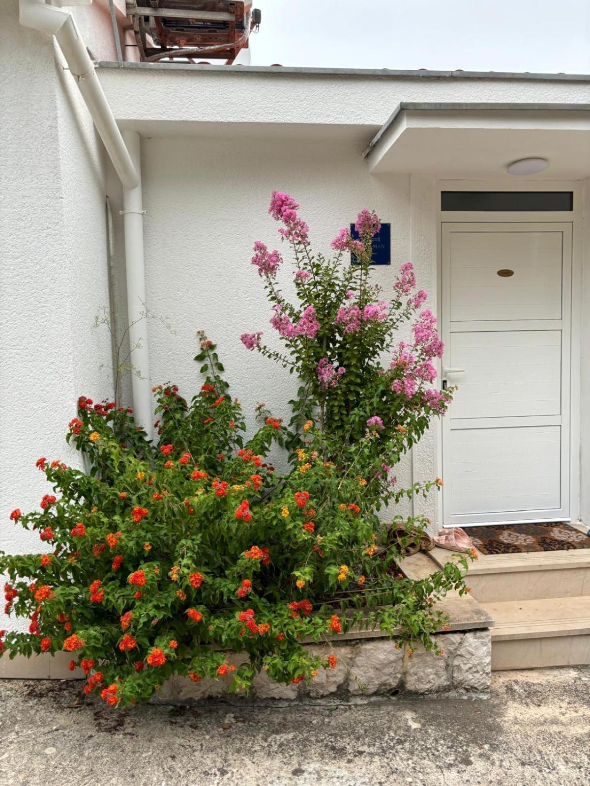 Dragove Viducic Apartments מראה חיצוני תמונה